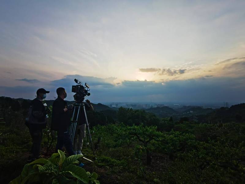 聚焦磐安县产品宣传视频拍摄公司，用专业实力铸就品牌传播传奇