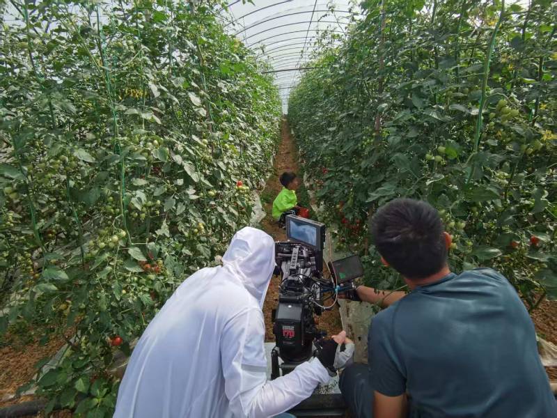 磐安县产品宣传视频拍摄公司进阶指南，助力品牌抢占传播高地